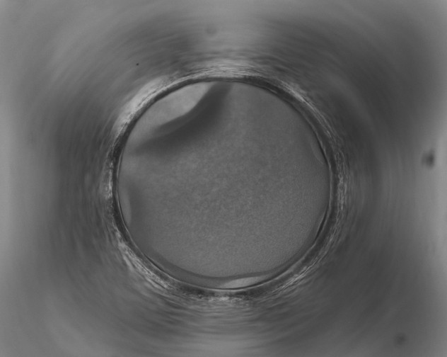 X0000115611459200912011539