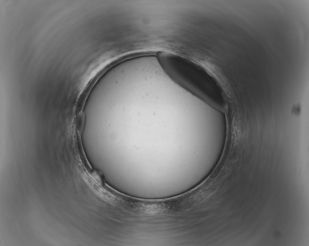 X0000115611460200912011539