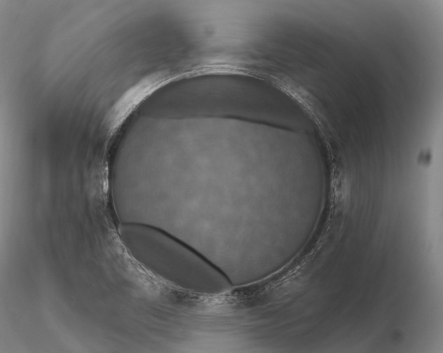 X0000115611461200912011539