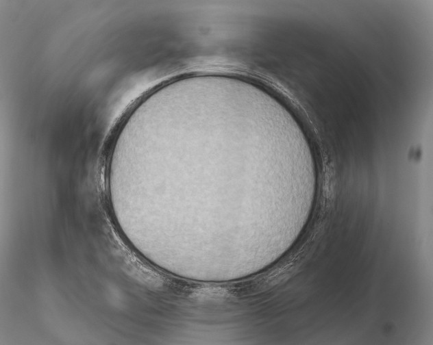 X0000115611462200912011539