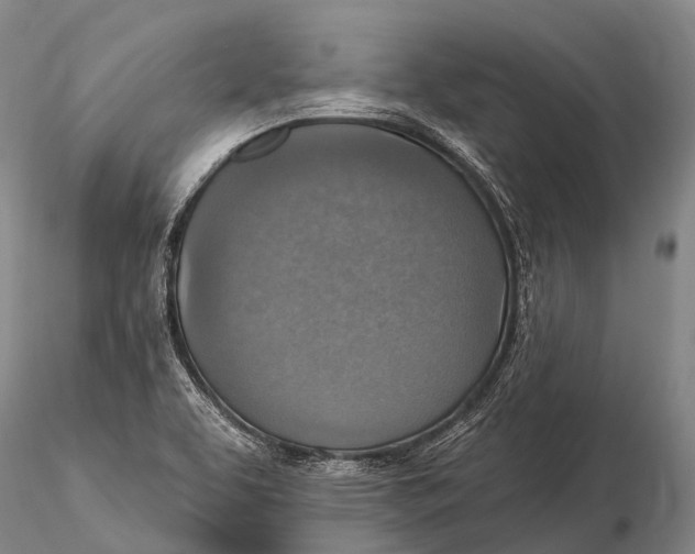 X0000115611463200912011539