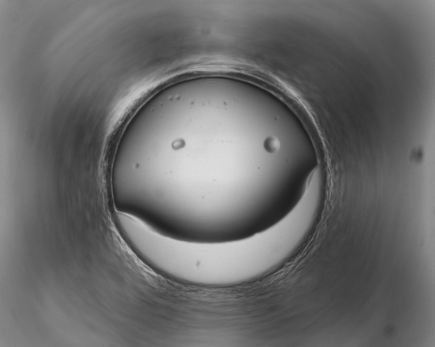 X0000115611464200912011539