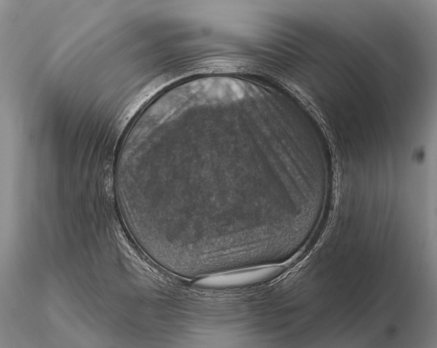 X0000115611465200912011539