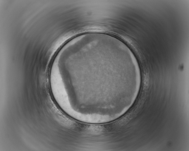 X0000115611466200912011539