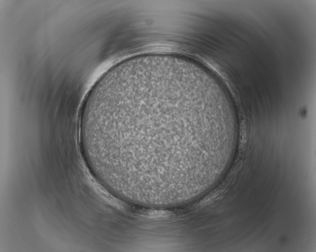 X0000115611467200912011539