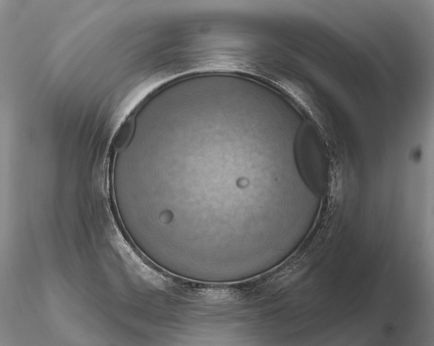 X0000115611468200912011539