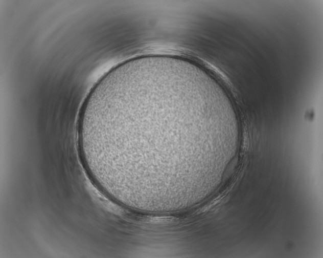 X0000115611471200912011539