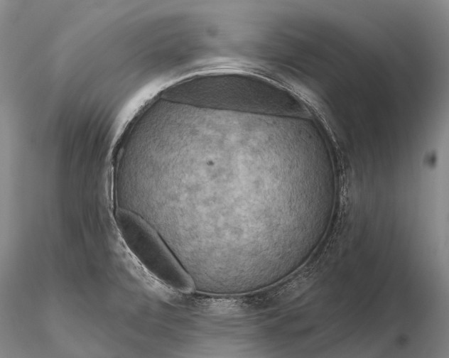 X0000115611472200912011539
