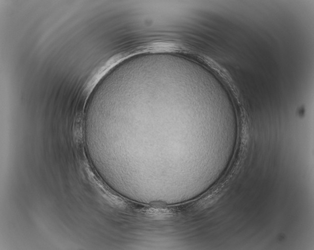 X0000115611473200912011538