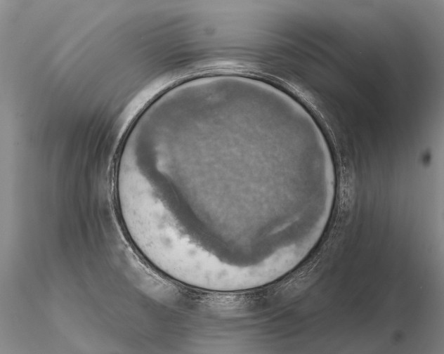 X0000115611474200912011538