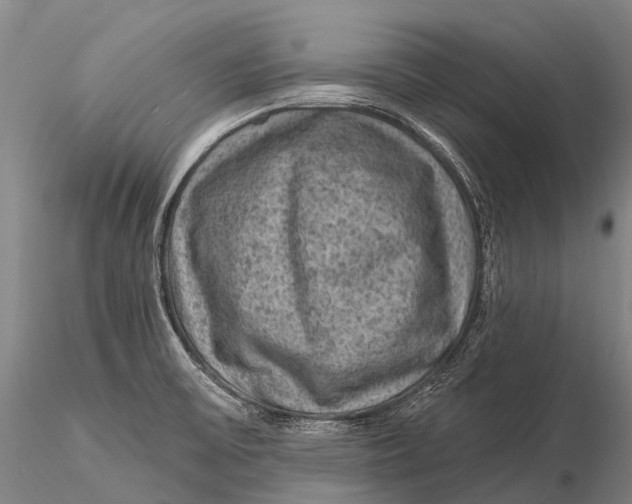 X0000115611475200912011538