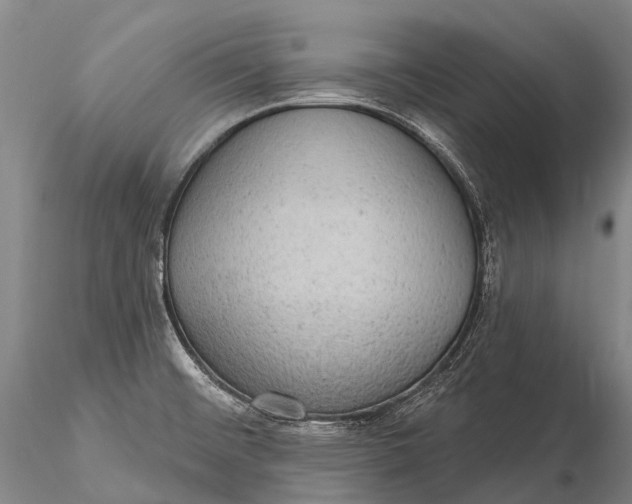 X0000115611476200912011538