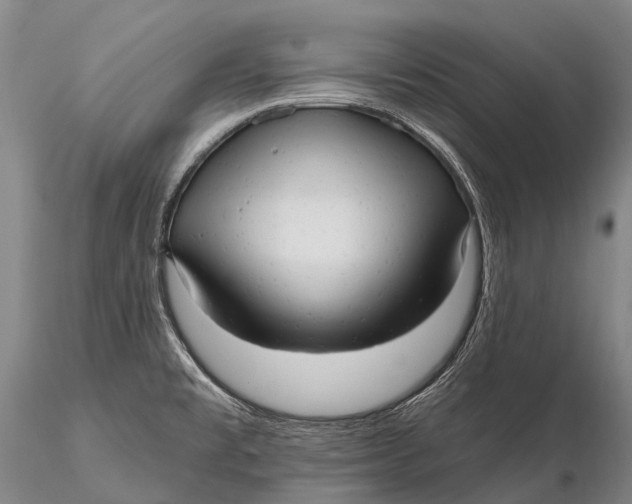 X0000115611477200912011538