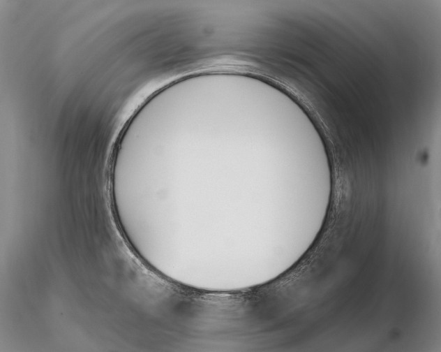 X0000115611478200912011538