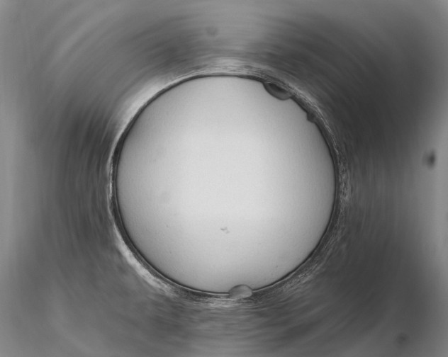 X0000115611479200912011538