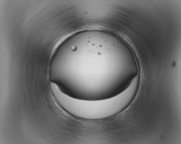 X0000115611481200912011538