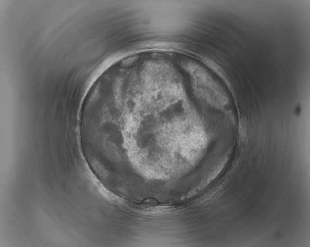X0000115611482200912011538