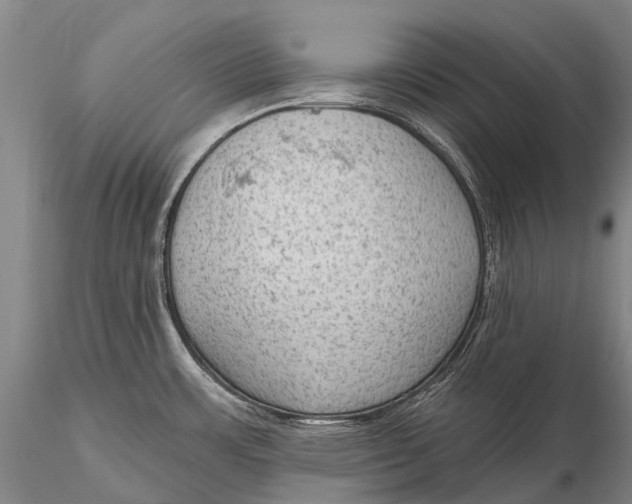 X0000115611483200912011538