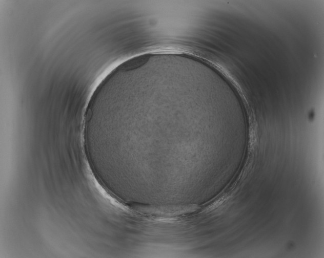 X0000115611484200912011538