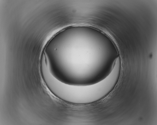 X0000115611485200912011538