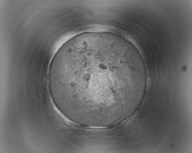 X0000115611487200912011538