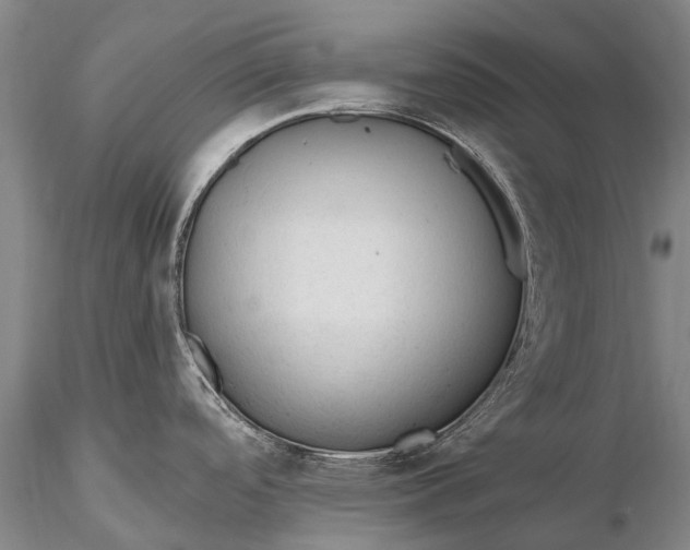 X0000115611488200912011538