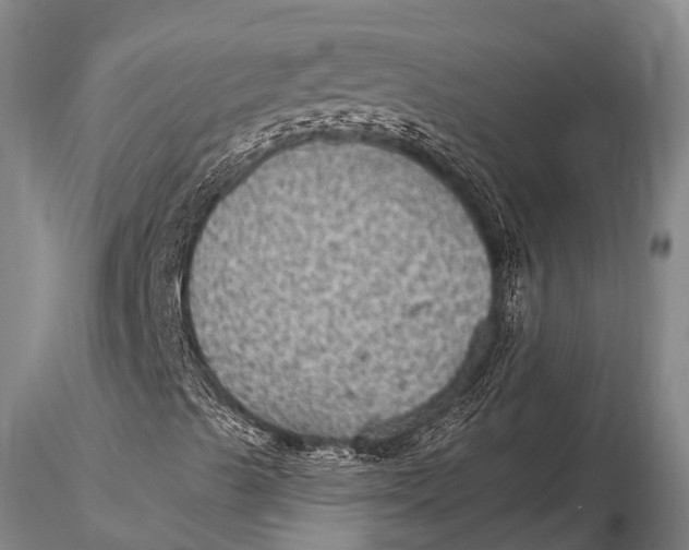 X0000115611489200912011537