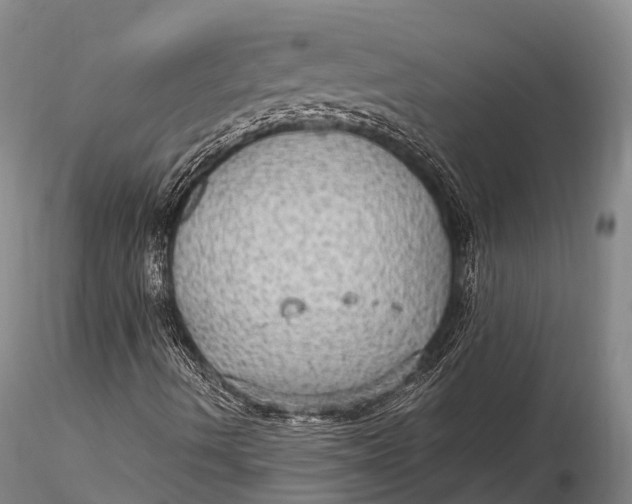 X0000115611490200912011537