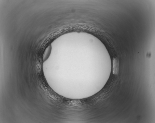 X0000115611491200912011537