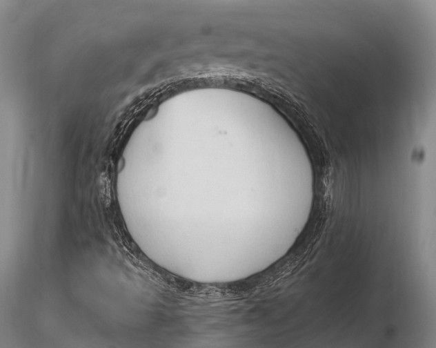 X0000115611493200912011537