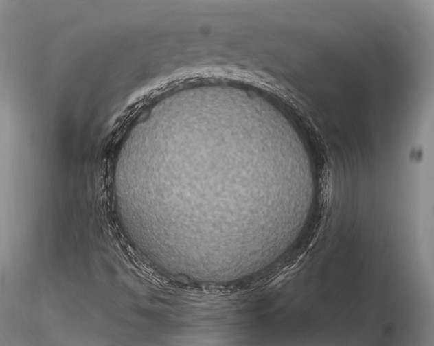 X0000115611494200912011537