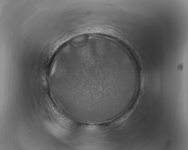 X0000115611497200912011537