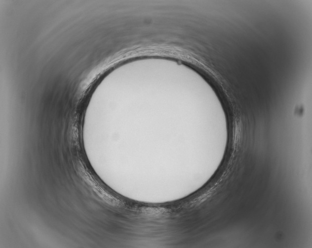 X0000115611498200912011537