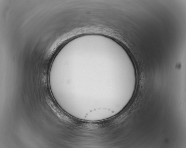 X0000115611499200912011537