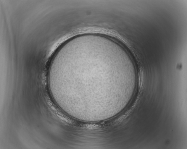 X0000115611501200912011537
