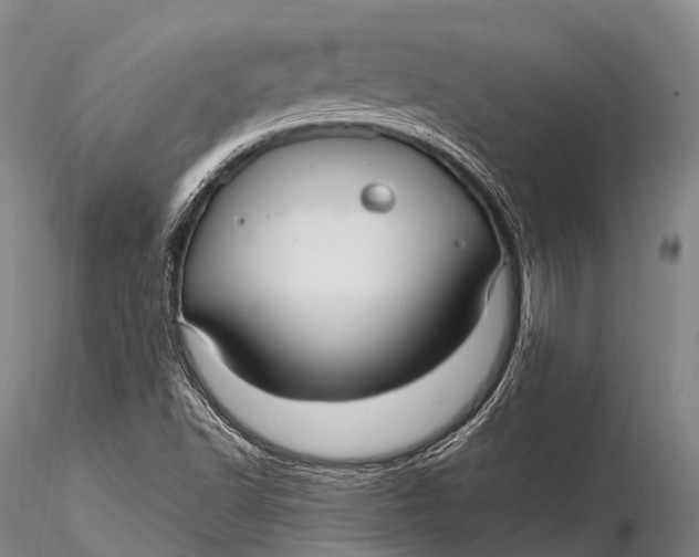X0000115611502200912011537