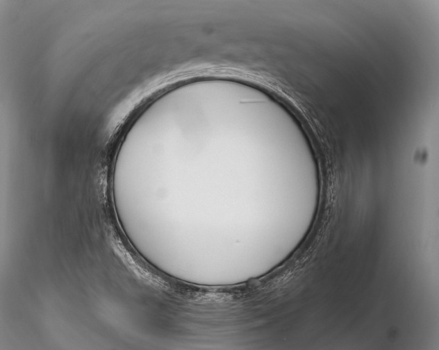 X0000115611503200912011538