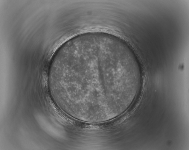 X0000115611505200912011538