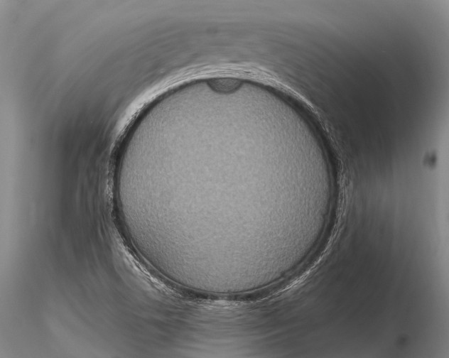 X0000115611506200912011538