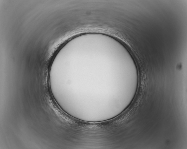 X0000115611507200912011538