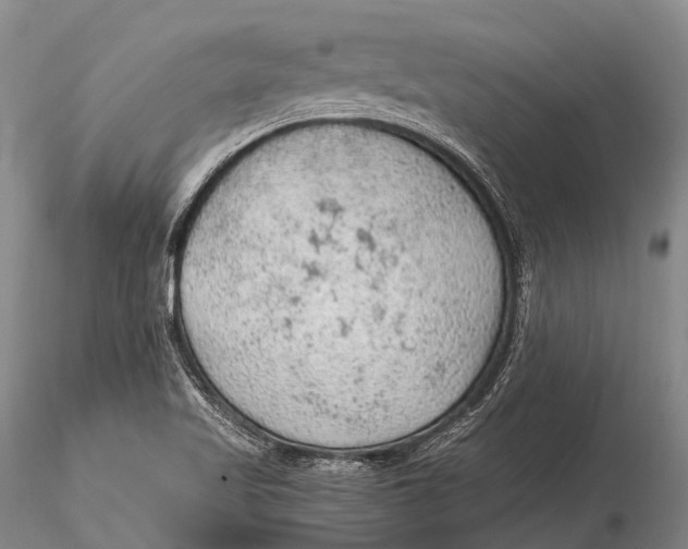 X0000115611509200912011538