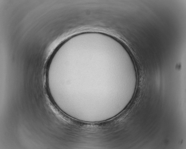 X0000115611511200912011538