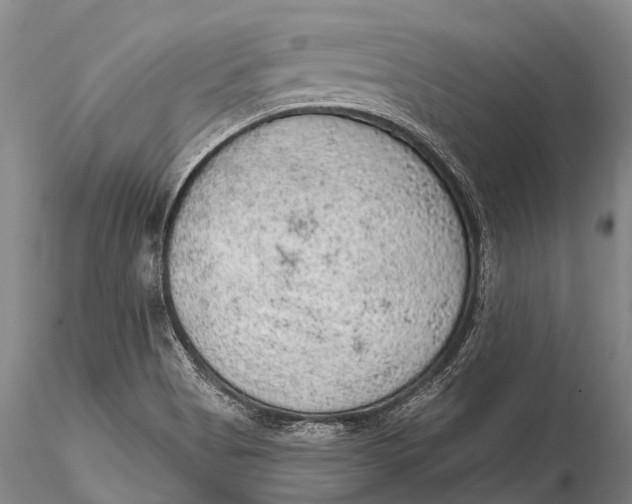 X0000115611513200912011538