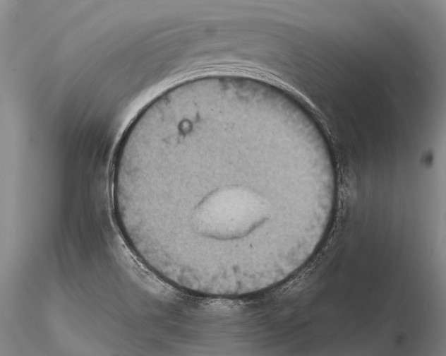 X0000115611514200912011538