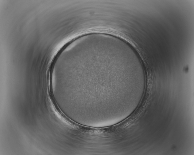 X0000115611515200912011538