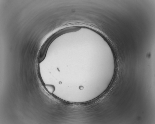 X0000115611518200912011538