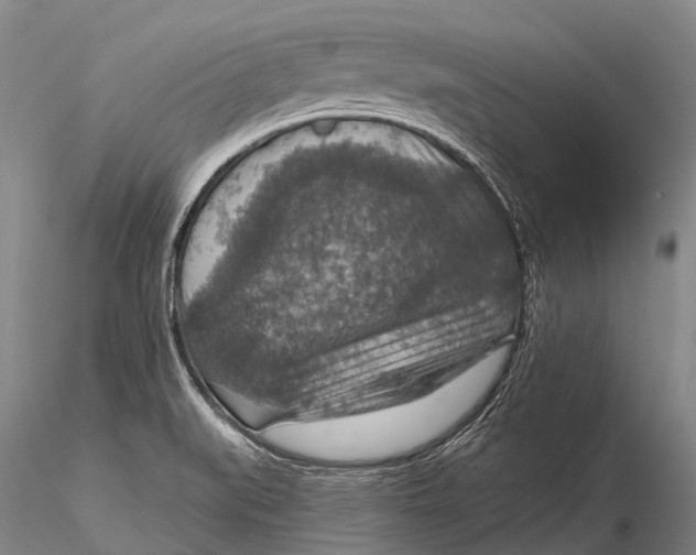 X0000115611519200912011538