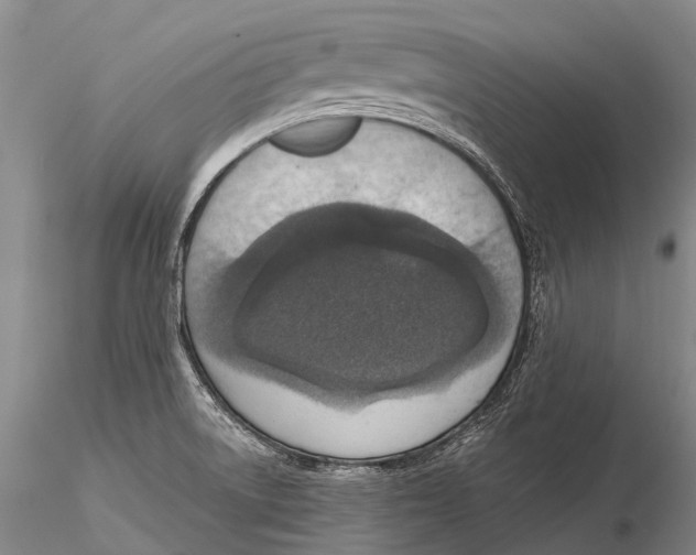 X0000115611522200912011538