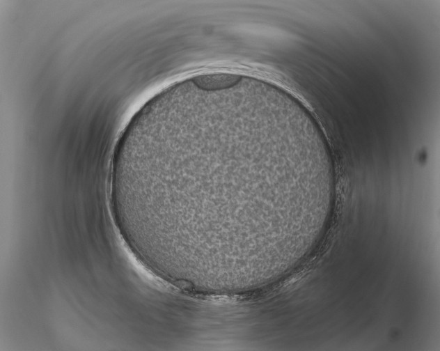 X0000115611523200912011538