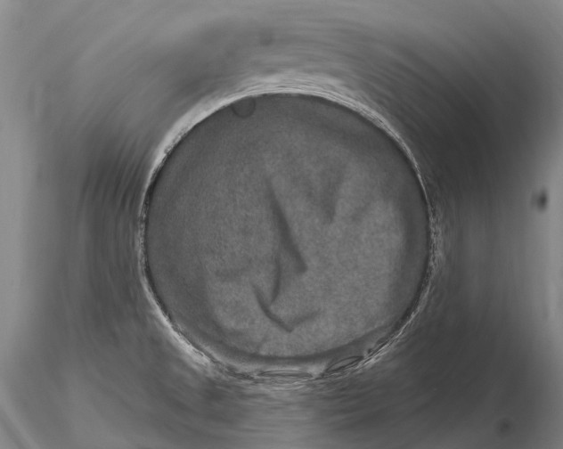 X0000115611525200912011538